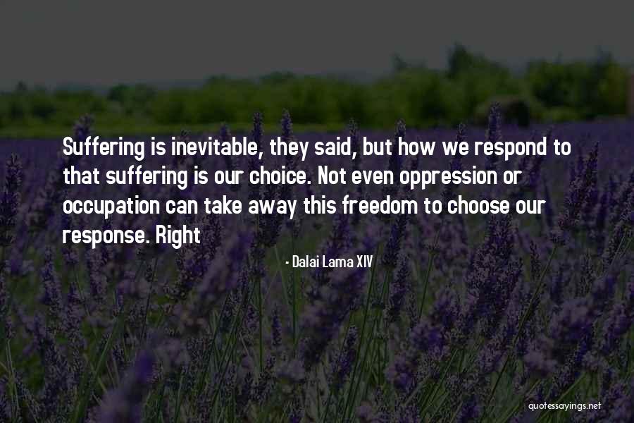 Right To Freedom Quotes By Dalai Lama XIV