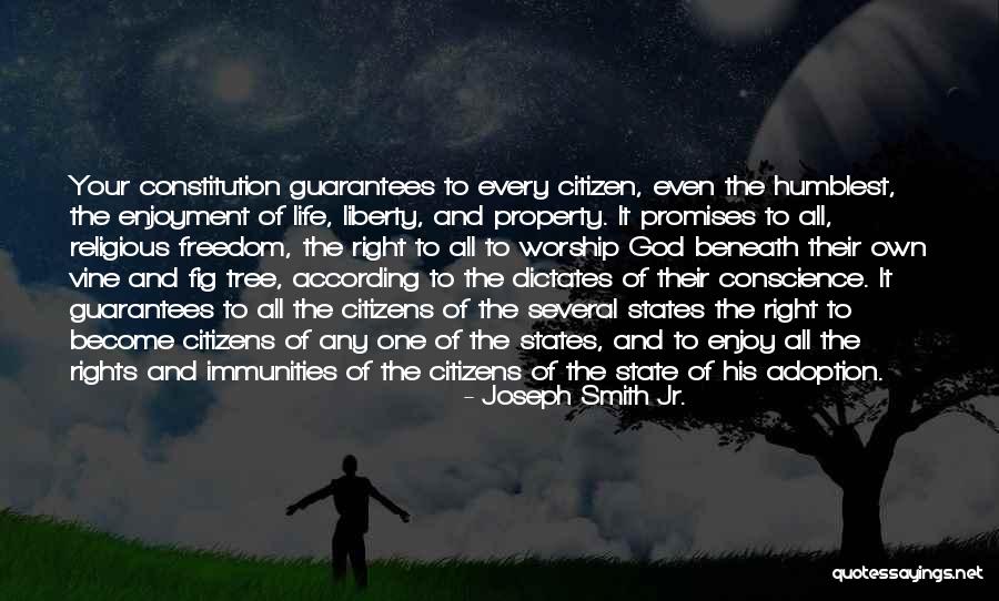 Right To Freedom Quotes By Joseph Smith Jr. Right To Freedom Quotes By Joseph Smith Jr.