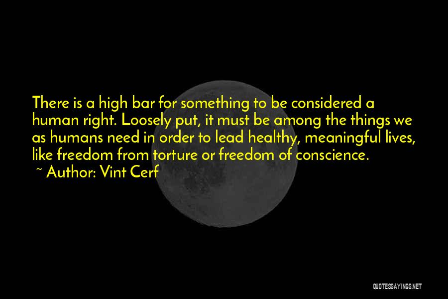 Right To Freedom Quotes By Vint Cerf