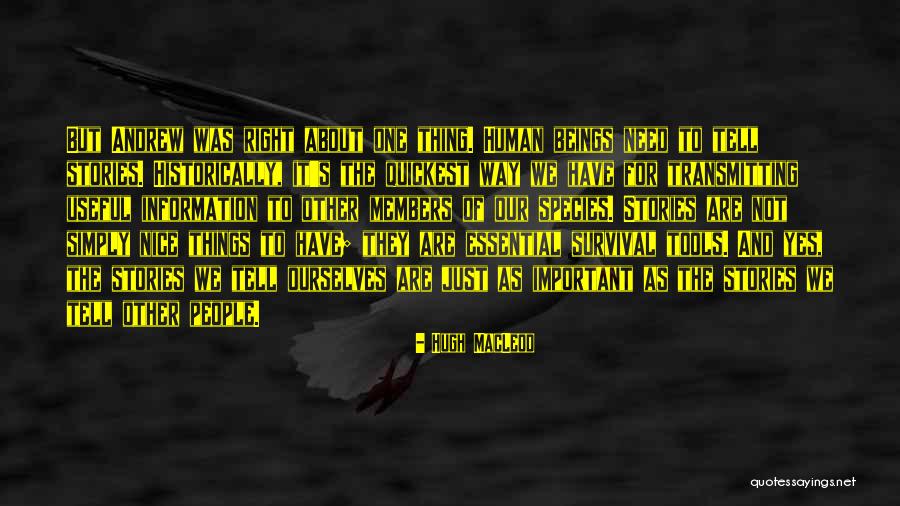 Right Tools Quotes By Hugh MacLeod Right Tools Quotes By Hugh MacLeod