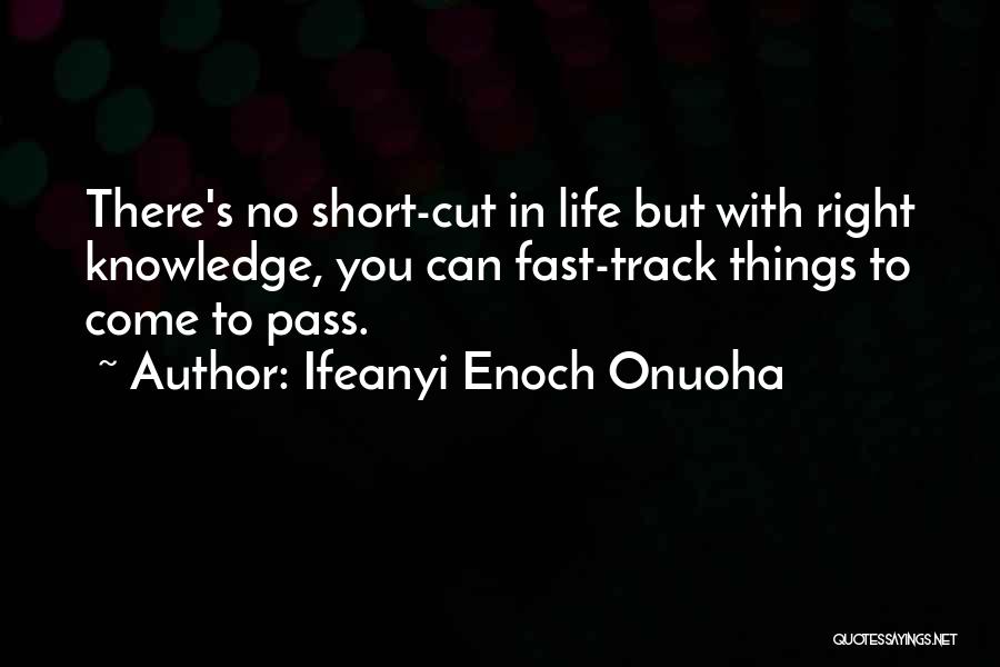 Right Track Quotes By Ifeanyi Enoch Onuoha