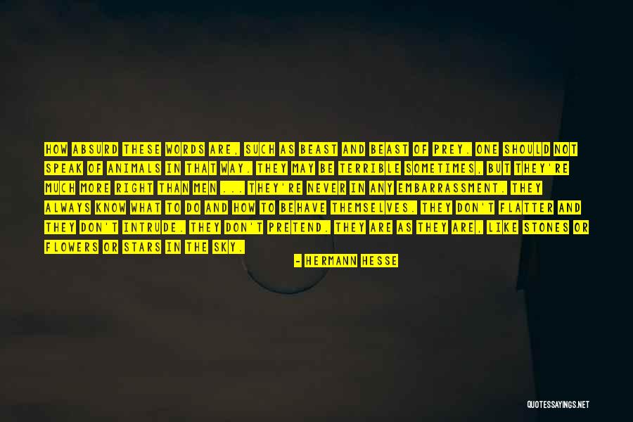 Right Way Of Quotes By Hermann Hesse Right Way Of Quotes By Hermann Hesse
