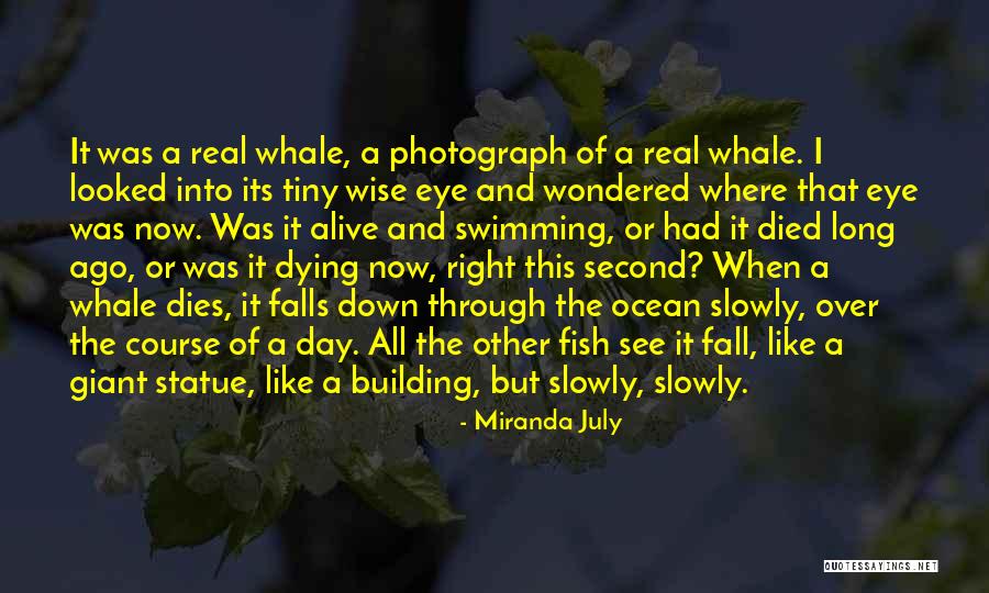 Right Whale Quotes By Miranda July Right Whale Quotes By Miranda July