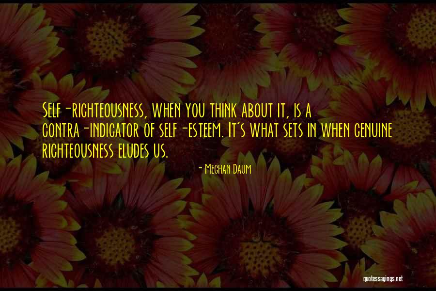 Righteousness Quotes By Meghan Daum