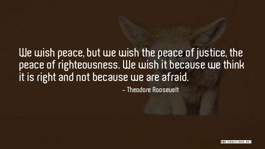 Righteousness Quotes By Theodore Roosevelt