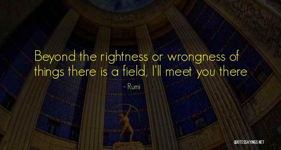 Rightness And Wrongness Quotes By Rumi Rightness And Wrongness Quotes By Rumi