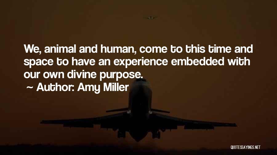 Rights Of Animals Quotes By Amy Miller