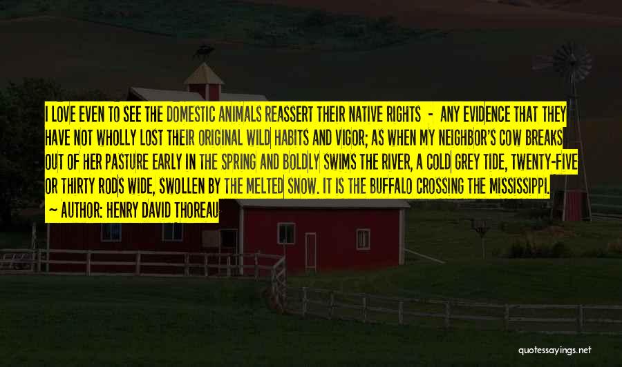 Rights Of Animals Quotes By Henry David Thoreau