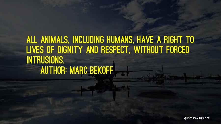 Rights Of Animals Quotes By Marc Bekoff