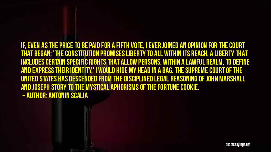 Rights To Vote Quotes By Antonin Scalia