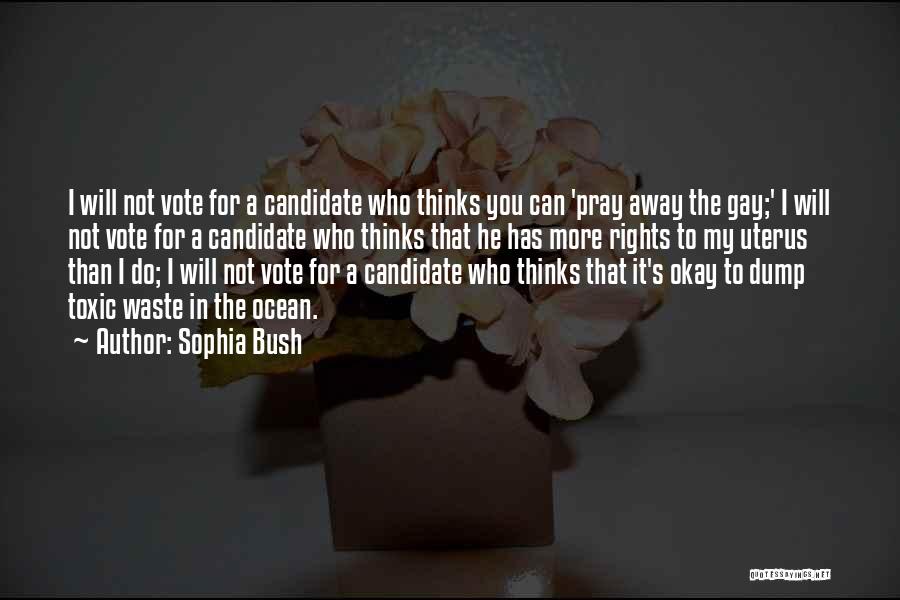 Rights To Vote Quotes By Sophia Bush