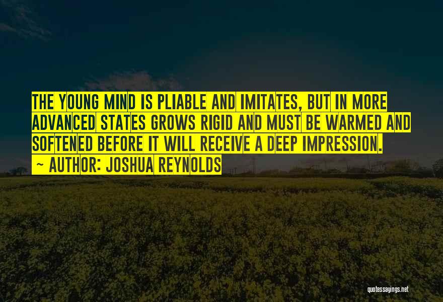 Rigid Mind Quotes By Joshua Reynolds
