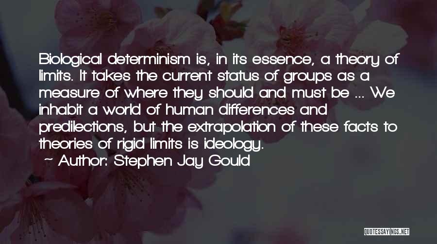 Rigid Quotes By Stephen Jay Gould