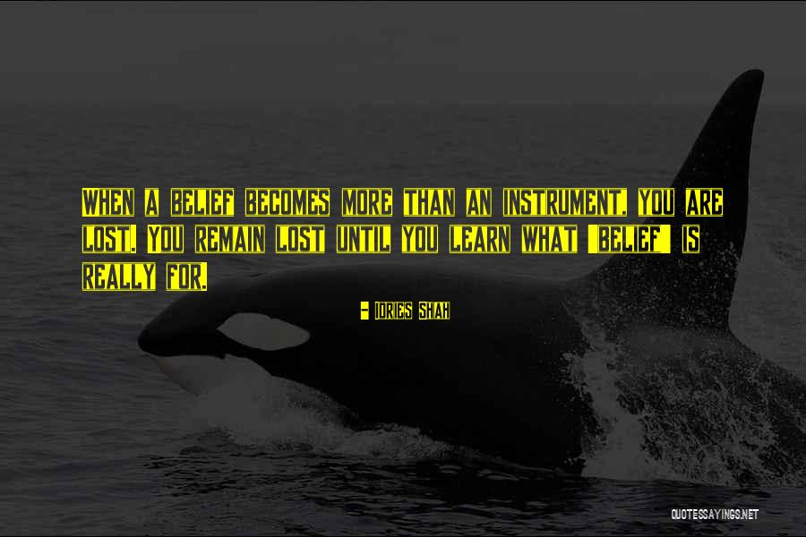 Rignac Aveyron Quotes By Idries Shah Rignac Aveyron Quotes By Idries Shah