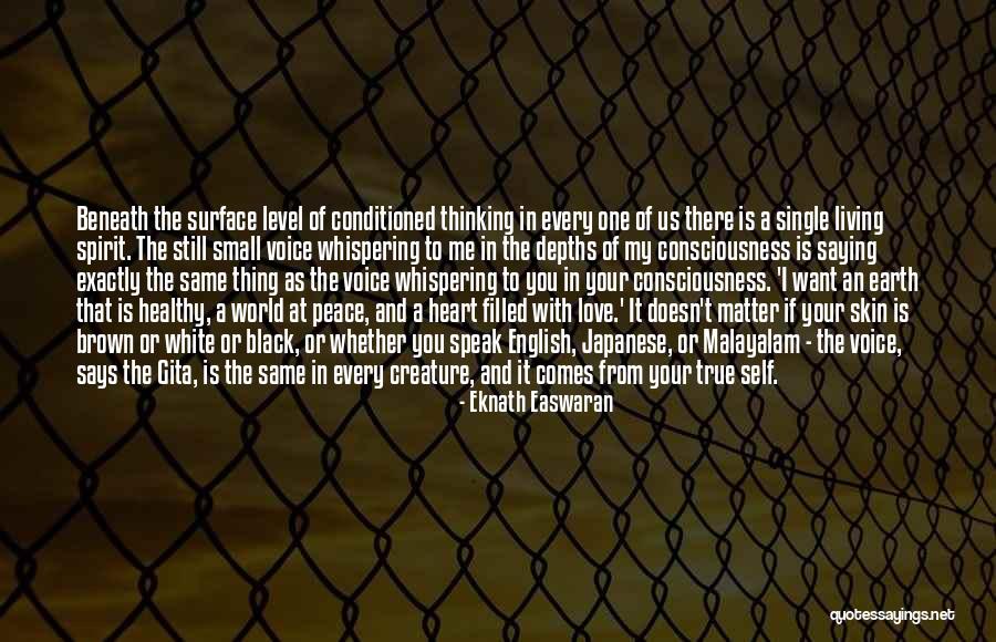 Rigoletto Met Opera Quotes By Eknath Easwaran Rigoletto Met Opera Quotes By Eknath Easwaran