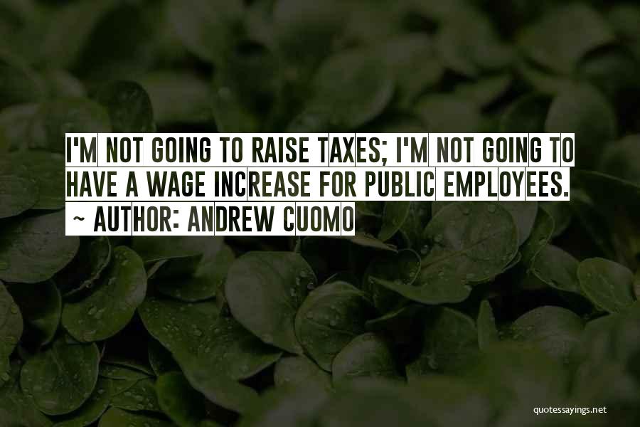 Rigor In Operations Quotes By Andrew Cuomo