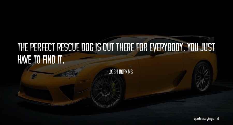 Rigorosa Definicion Quotes By Josh Hopkins Rigorosa Definicion Quotes By Josh Hopkins