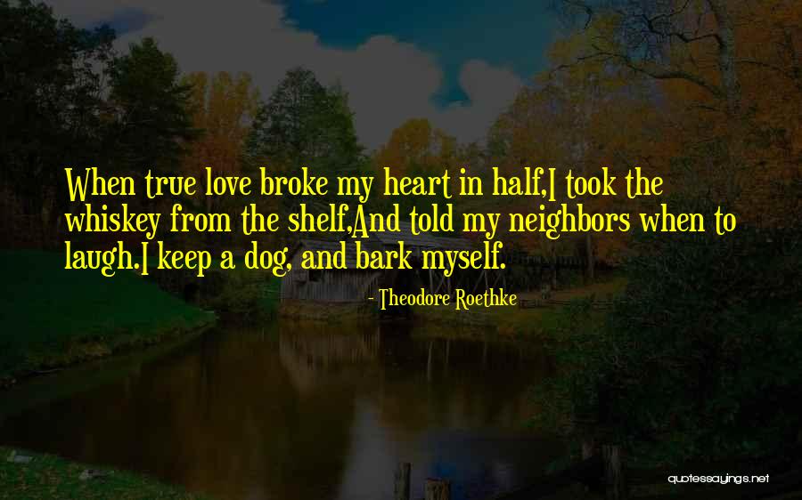 Rigurosamente Quotes By Theodore Roethke Rigurosamente Quotes By Theodore Roethke