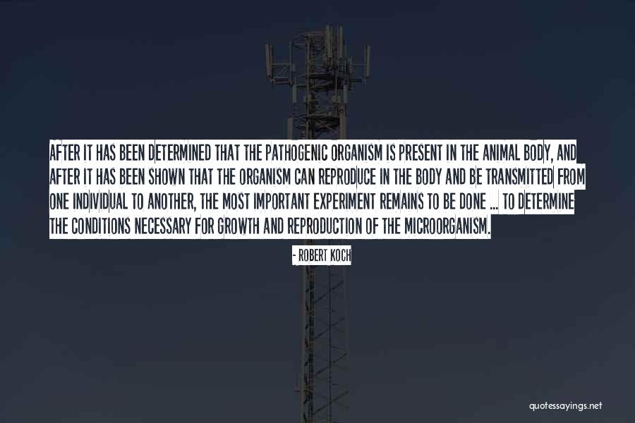 Rijselpoort Quotes By Robert Koch Rijselpoort Quotes By Robert Koch