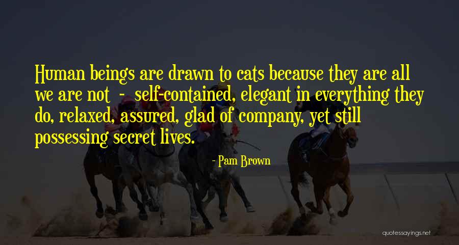Rijssen Wikipedia Quotes By Pam Brown Rijssen Wikipedia Quotes By Pam Brown