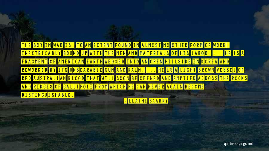 Rikkeena Quotes By Elaine Scarry Rikkeena Quotes By Elaine Scarry