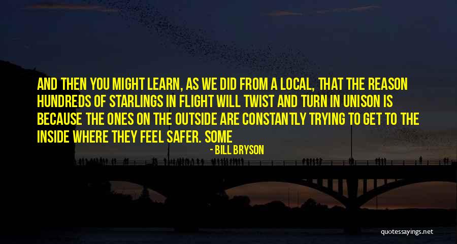 Riles Should I Lyrics Quotes By Bill Bryson Riles Should I Lyrics Quotes By Bill Bryson