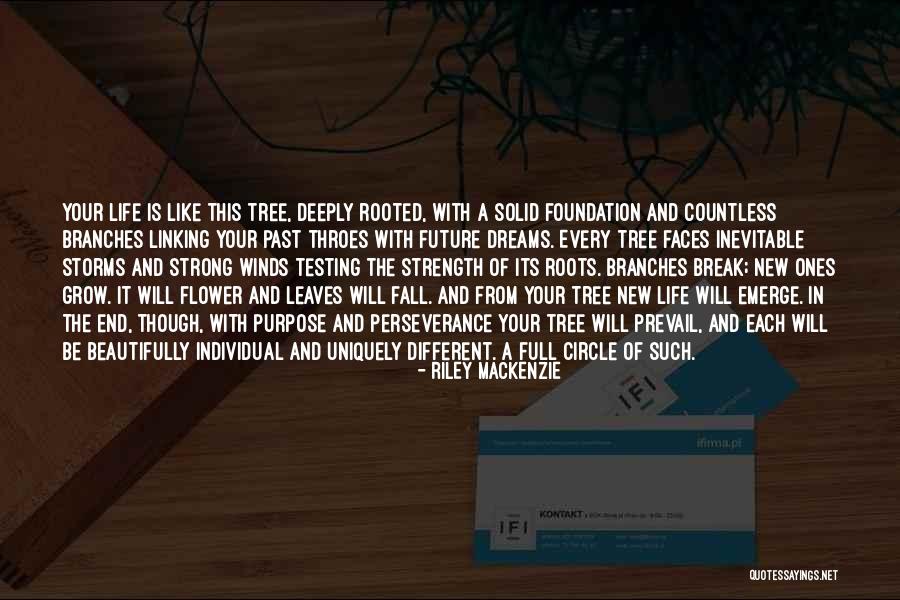 Riley Mackenzie Quotes 1774600 Riley Mackenzie Quotes 1774600