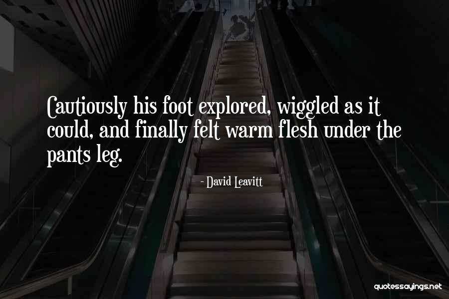 Rilwan Meeran Quotes By David Leavitt Rilwan Meeran Quotes By David Leavitt
