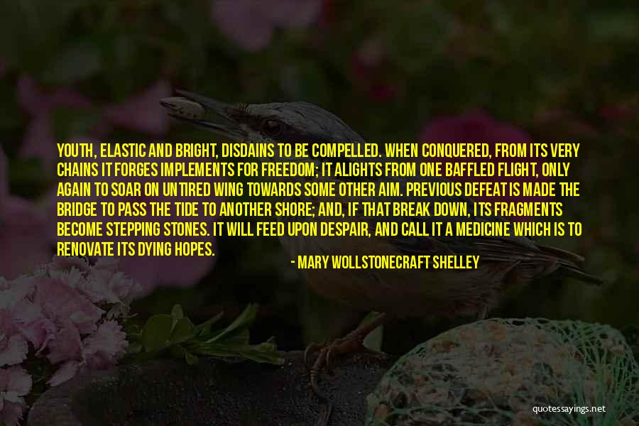 Rimbach Bayerischer Quotes By Mary Wollstonecraft Shelley Rimbach Bayerischer Quotes By Mary Wollstonecraft Shelley