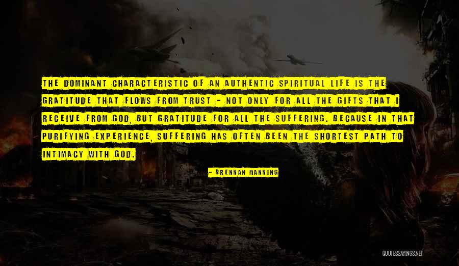 Rimettiti Quotes By Brennan Manning Rimettiti Quotes By Brennan Manning