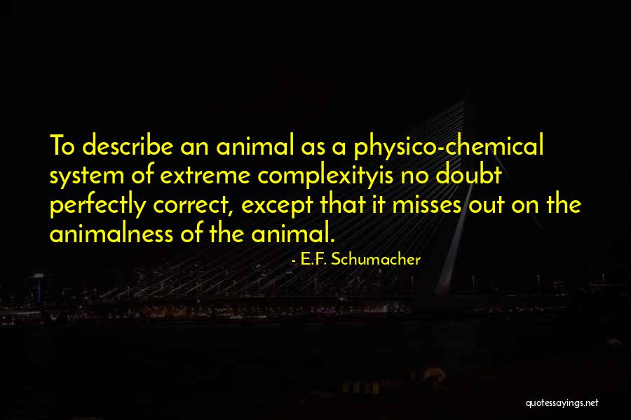 Rinaldo Opera Quotes By E.F. Schumacher Rinaldo Opera Quotes By E.F. Schumacher