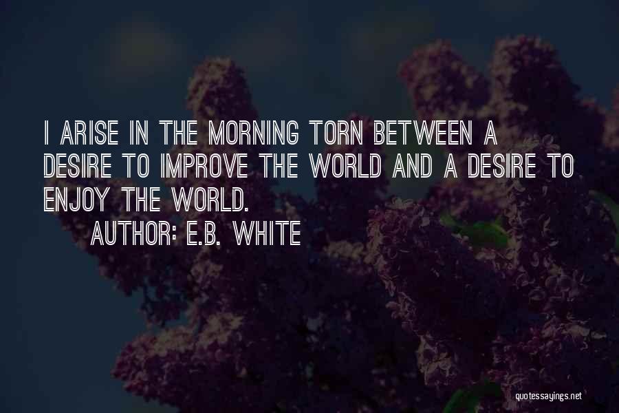 Rinaldo Quotes By E.B. White