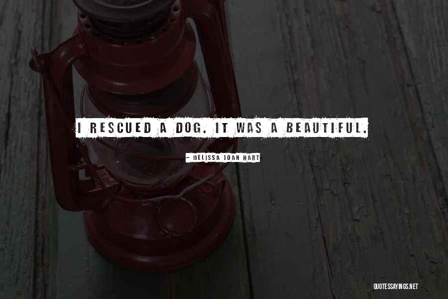 Rinascita Carolingia Quotes By Melissa Joan Hart Rinascita Carolingia Quotes By Melissa Joan Hart