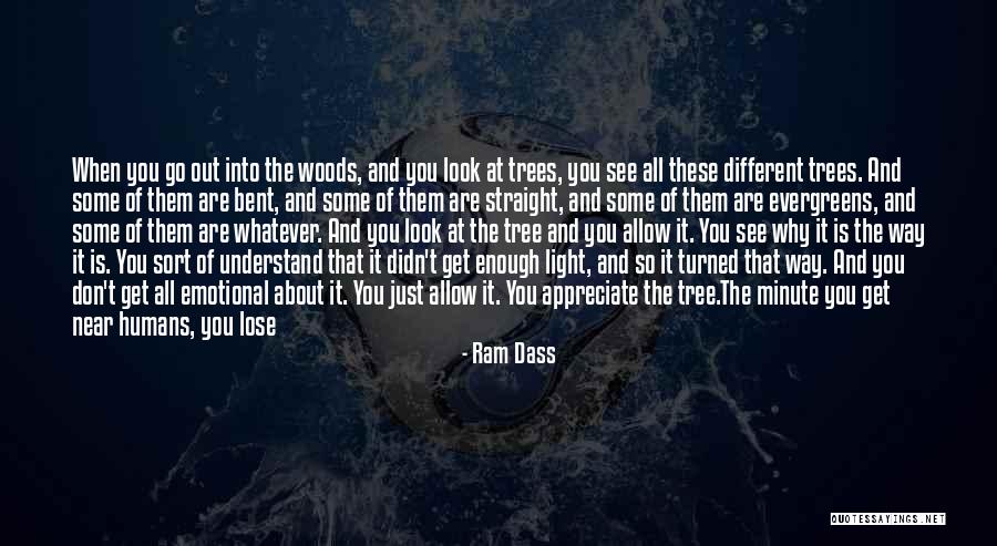 Rineshia Quotes By Ram Dass Rineshia Quotes By Ram Dass