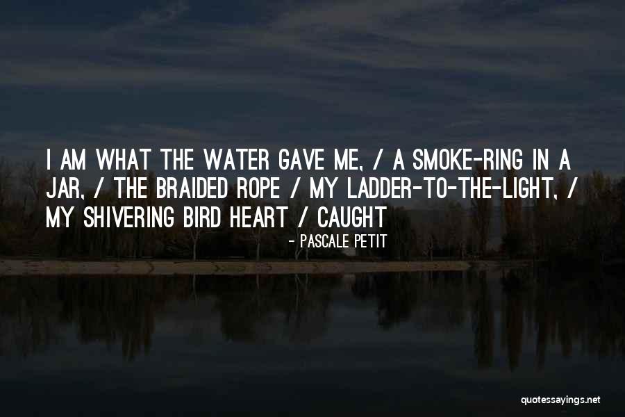 Ring Light Quotes By Pascale Petit Ring Light Quotes By Pascale Petit