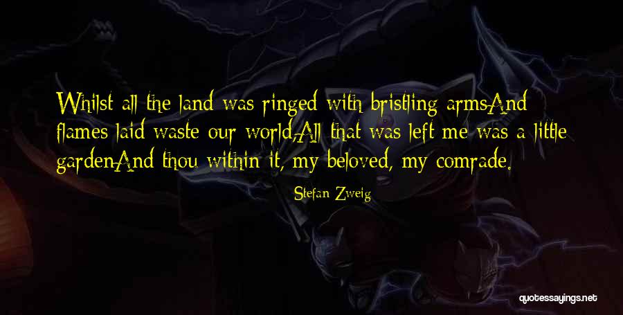 Ringed Quotes By Stefan Zweig Ringed Quotes By Stefan Zweig
