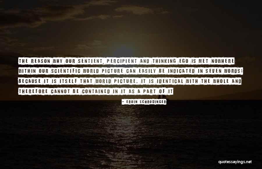 Ringeisen Worrell Quotes By Erwin Schrodinger Ringeisen Worrell Quotes By Erwin Schrodinger