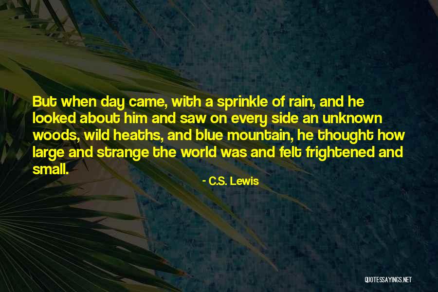 Ringger Soft Quotes By C.S. Lewis Ringger Soft Quotes By C.S. Lewis