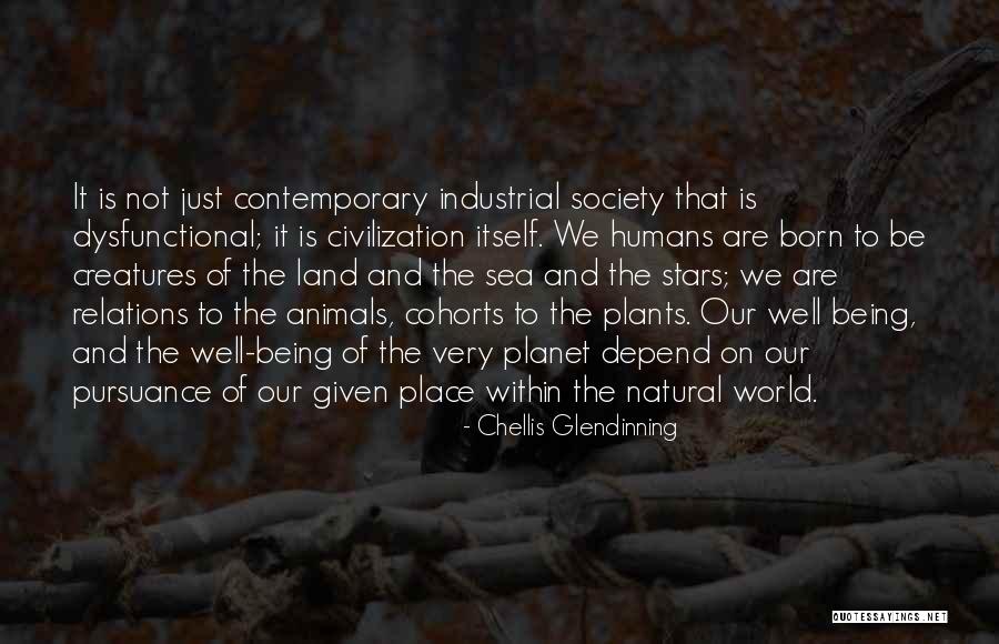 Ringham Young Quotes By Chellis Glendinning Ringham Young Quotes By Chellis Glendinning