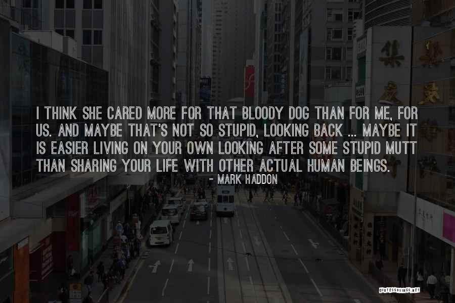 Ringland Failure Quotes By Mark Haddon Ringland Failure Quotes By Mark Haddon