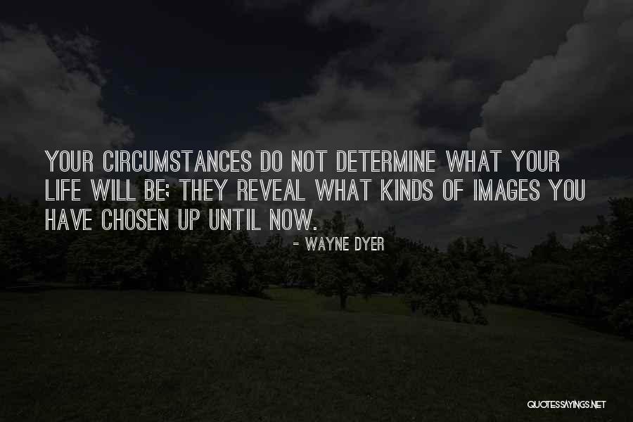 Ringlstetter Hannes Quotes By Wayne Dyer Ringlstetter Hannes Quotes By Wayne Dyer