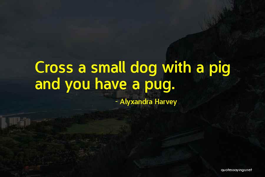 Ringnor Quotes By Alyxandra Harvey Ringnor Quotes By Alyxandra Harvey