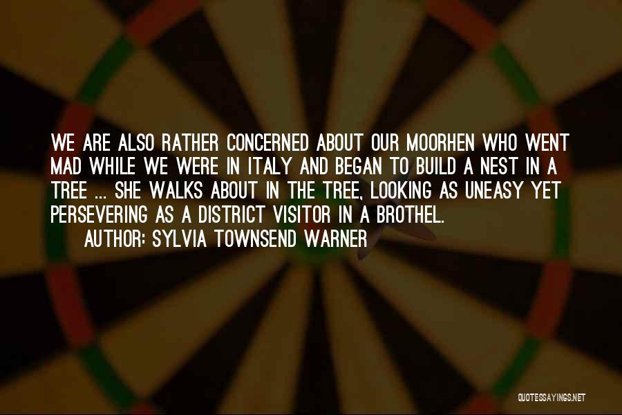 Ringxiety Quotes By Sylvia Townsend Warner