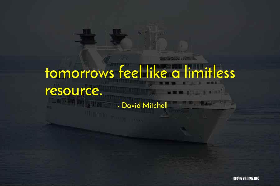 Rinichi Schema Quotes By David Mitchell
