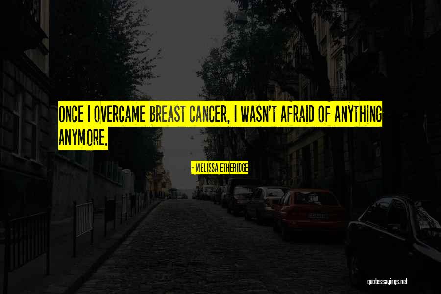 Riniel Quotes By Melissa Etheridge