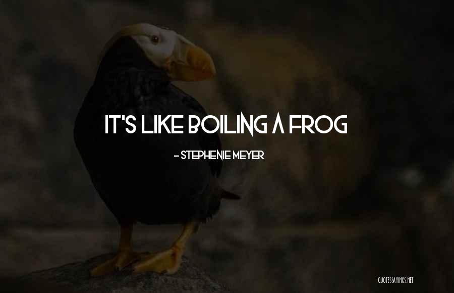Rinnegan Quotes By Stephenie Meyer Rinnegan Quotes By Stephenie Meyer