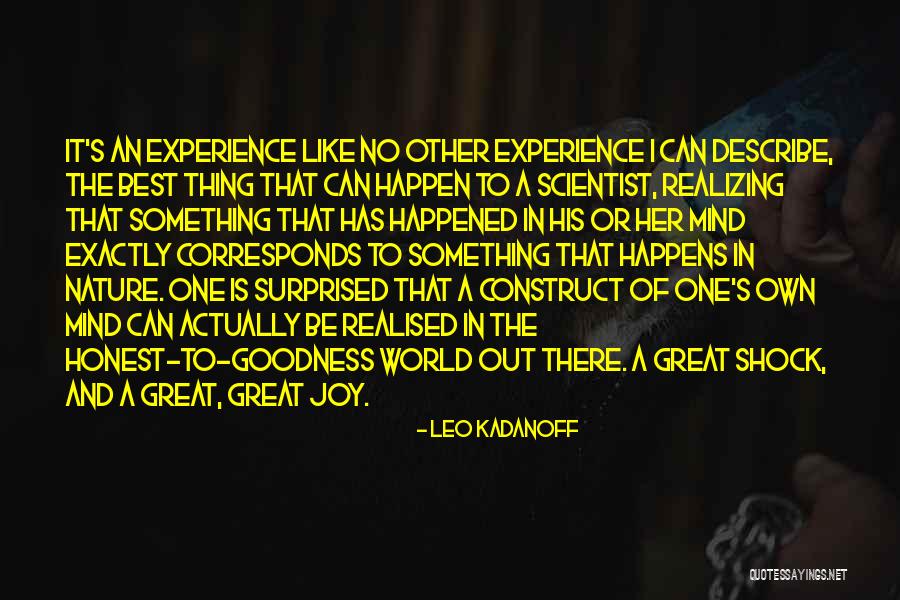 Rinnovamento Della Quotes By Leo Kadanoff Rinnovamento Della Quotes By Leo Kadanoff