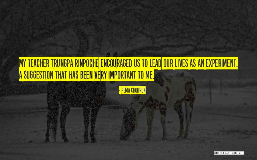 Rinpoche Trungpa Quotes By Pema Chodron Rinpoche Trungpa Quotes By Pema Chodron