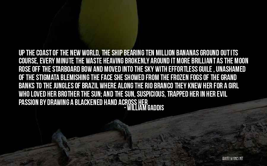 Rio Quotes By William Gaddis Rio Quotes By William Gaddis