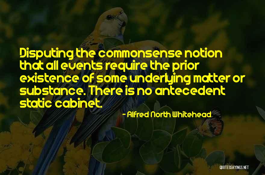 Riolama Lorenzo Quotes By Alfred North Whitehead Riolama Lorenzo Quotes By Alfred North Whitehead